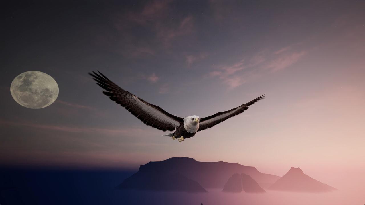 图片[3]-《绝世好武功》中文版-易如分享