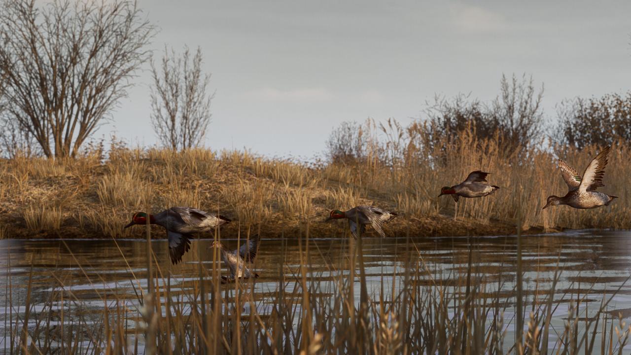 图片[2]-BULT：狩猎模拟器/BULT Hunting simulator  Build.21292230   免安装英文版-梨子乐游戏